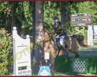 1SAMEDI-PAYERNE351