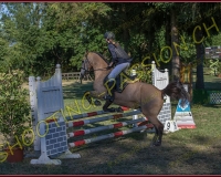 1SAMEDI-PAYERNE360