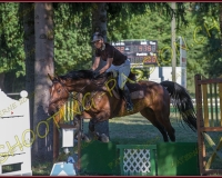 1SAMEDI-PAYERNE368