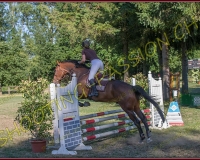 1SAMEDI-PAYERNE378