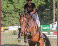 1SAMEDI-PAYERNE379