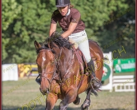 1SAMEDI-PAYERNE382