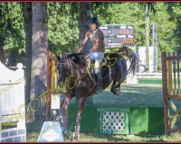 1SAMEDI-PAYERNE411