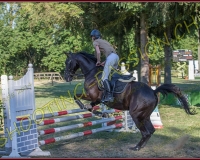 1SAMEDI-PAYERNE419