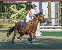 1SAMEDI-PAYERNE433