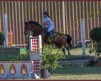 1SAMEDI-PAYERNE437