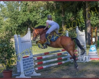 1SAMEDI-PAYERNE463