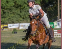 1SAMEDI-PAYERNE468