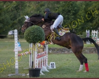 5payerne-vendredi075