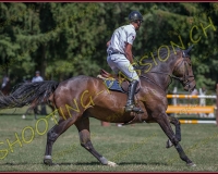 2payerne-vendredi068