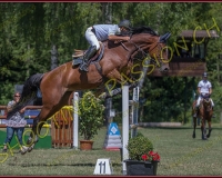 2payerne-vendredi085