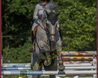 3payerne-vendredi531