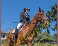 1GIEZ166