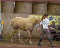 1CORSEREY174