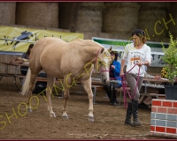 1CORSEREY176
