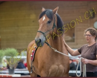1CORSEREY532