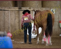 1CORSEREY550