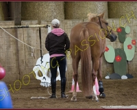 2CORSEREY162