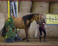 3CORSEREY129