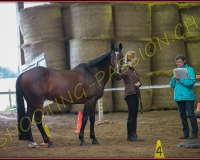 3CORSEREY322