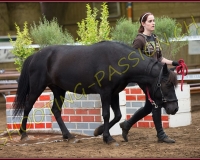 3CORSEREY490
