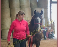 4CORSEREY185