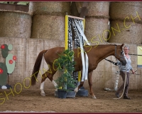 4CORSEREY193