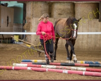 4CORSEREY197