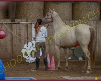 4CORSEREY540