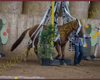 5CORSEREY079
