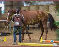5CORSEREY092