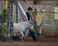 5CORSEREY156