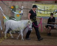 5CORSEREY157