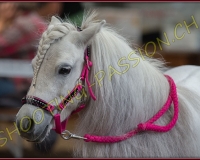 5CORSEREY162