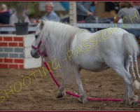 5CORSEREY166