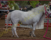 5CORSEREY168