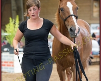 5CORSEREY268