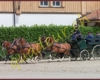 1cheval021