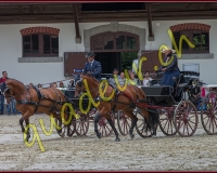 1cheval053