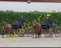 1cheval057