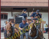 1cheval065