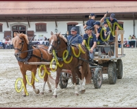 1cheval069