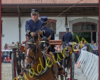 1cheval083