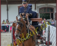 1cheval094