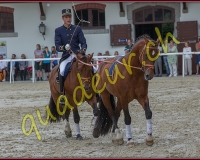 1cheval108