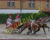 1cheval136