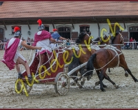 1cheval140