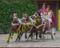 1cheval150