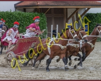 1cheval156