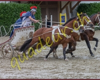 1cheval165